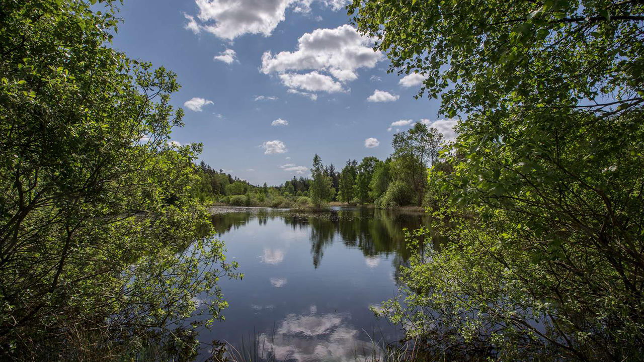 ulvedal-vue-soe ved Alheden Plantage.jpg